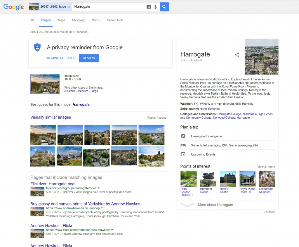 Google search by image results