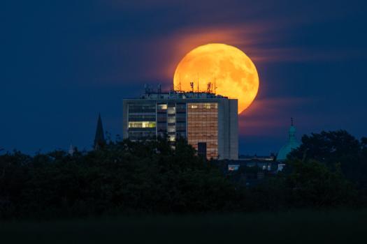 A Moon Exchange - Harrogate